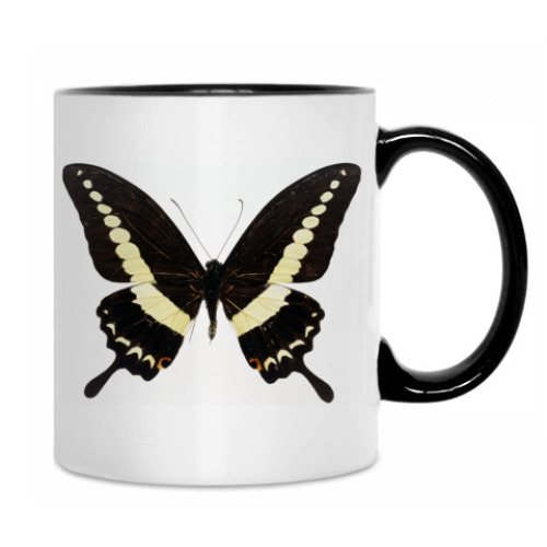 Кружка с принтом Бабочка