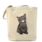 Холщовая сумка