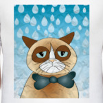  Кот и дождь