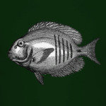 Гравированная рыба