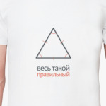 Весь такой правильный