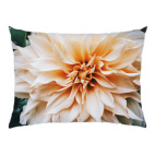 Летние цветы