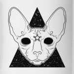 Кот сфинкс познавший Вселенную