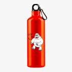 Металлическая бутылка 700 мл UV-DTF