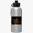 Спортивная бутылка