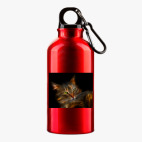 Металлическая бутылка 400 мл UV-DTF