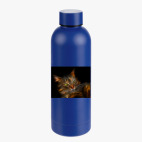 Термобутылка