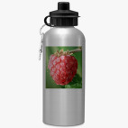 Спортивная бутылка