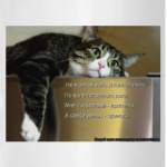 Не в силах жить я коллективно