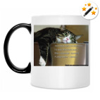 Кружка-хамелеон