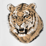Тигр