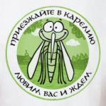 Приезжайте в Карелию!