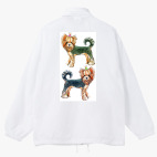 Ветровка с капюшоном