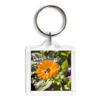 Пчела на цветке