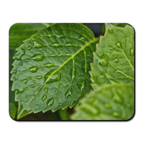 Коврик для мыши с принтом "Листья"