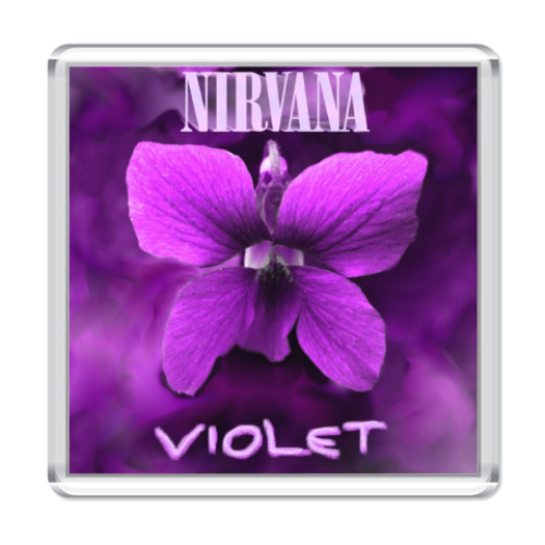 Магнит NIRVANA