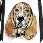 Собака - Бассет хаунд