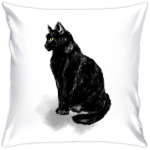 Черная кошка