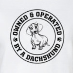Owned & Operated By Dachshund