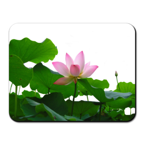 Коврик для мыши с принтом Lotus