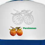 Persimmon Low Poly