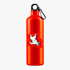 Металлическая бутылка 700 мл UV-DTF