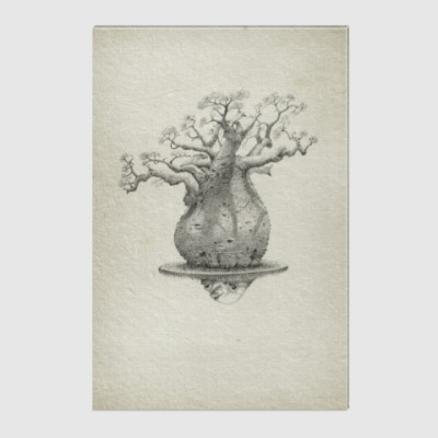 Holst Baobab Kupit Na Printdirect Ru 6541843 530