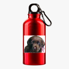 Металлическая бутылка 400 мл UV-DTF