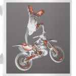 Мотофристайл