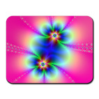 Psychedelic Fractality