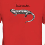 Саламандра