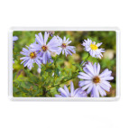 Сентябрины