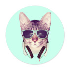 Cool Cat