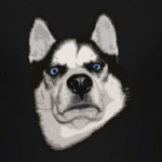 Суровый Хаски