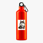 Металлическая бутылка 700 мл UV-DTF