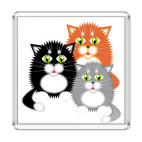 Магнит 6.5 x 6.5 см   Котята