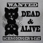 Кот Шрёдингера