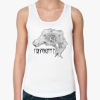 Сиродил (Cyrodiil)