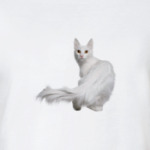 Ангорская кошка