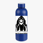 Термобутылка