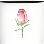 Роза. Акварель