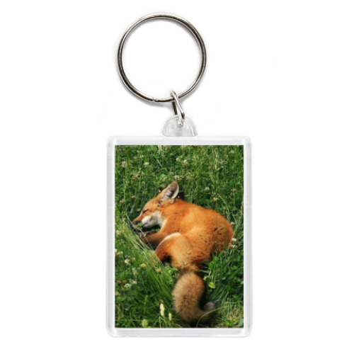 Брелок с принтом Лисий сон