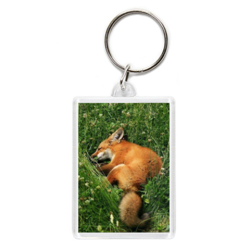 Брелок с принтом Лисий сон