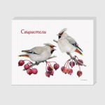 Свиристели