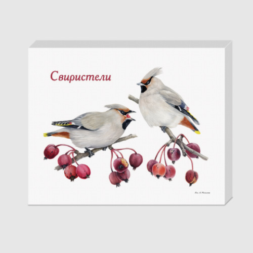 Холст с принтом Свиристели