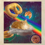 Рыжий кот в космосе