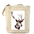 Холщовая сумка