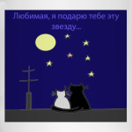 Подарю звезду