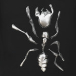 Металлический Муравей