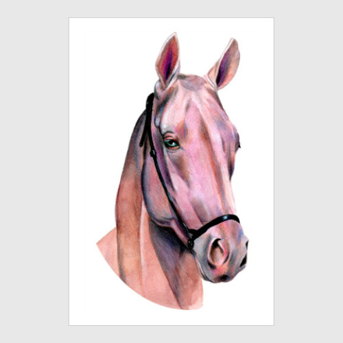 Постер Лошадь